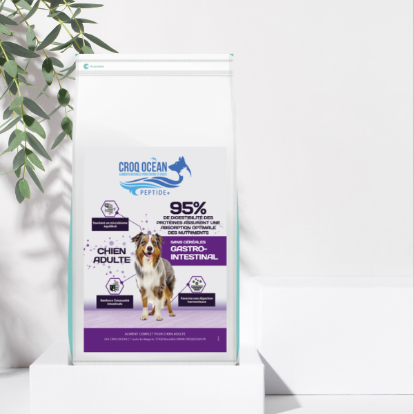 Croquettes Croq Ocean Nutri VET Gastro Intestinal Hypoallergénique