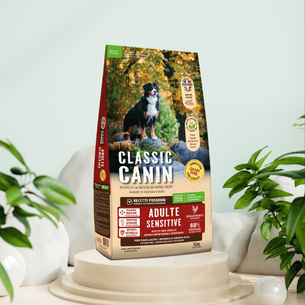 Croquettes Classic Canin volaille sans céréales 12kg