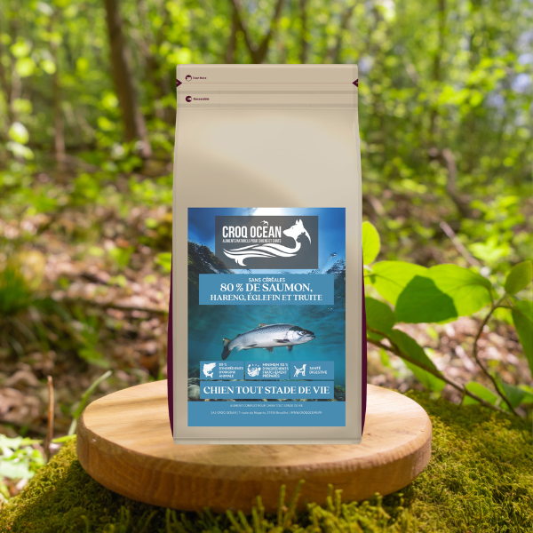CROQUETTES CROQ OCEAN NUTRI WILD 80% SAUMON HARENG AIGLEFIN TRUITE