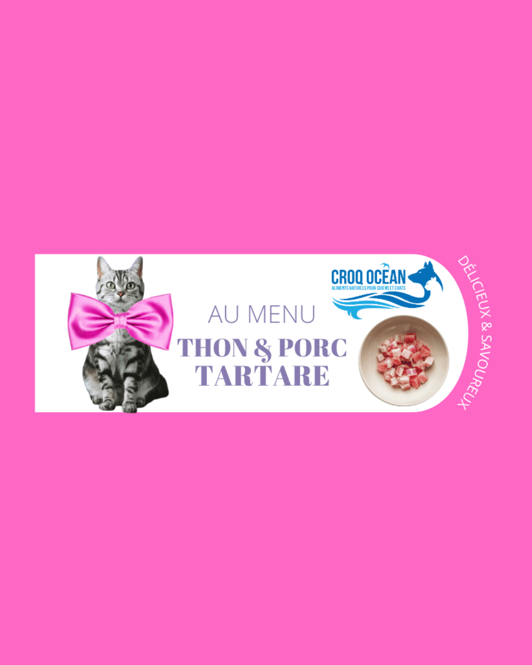 TARTARE CROQ OCEAN THON PORC 85G