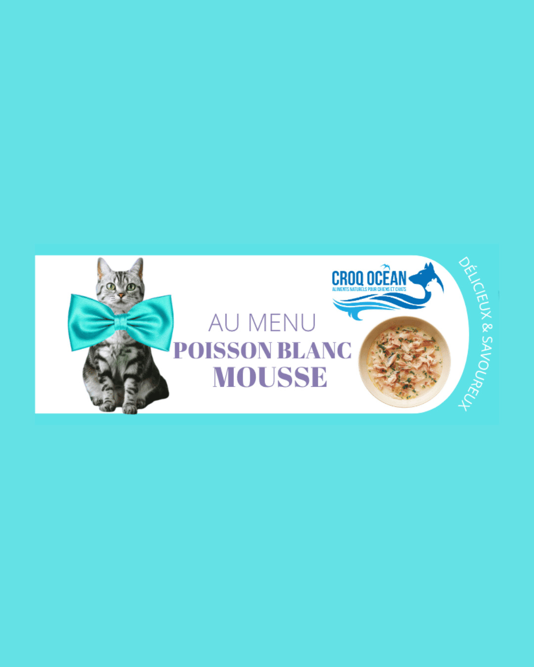 MOUSSE CROQ OCEAN POISSON BLANC 85G