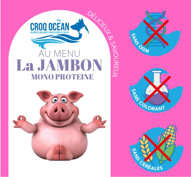 Terrine Croq Ocean La Jambon 400g