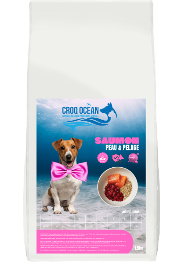 Croquettes Croq Ocean Tradition Mini Peau et Pelage Saumon