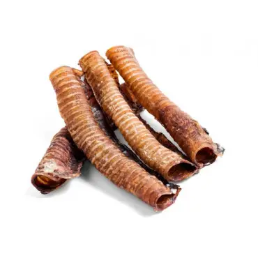 Trachée de Boeuf x 2