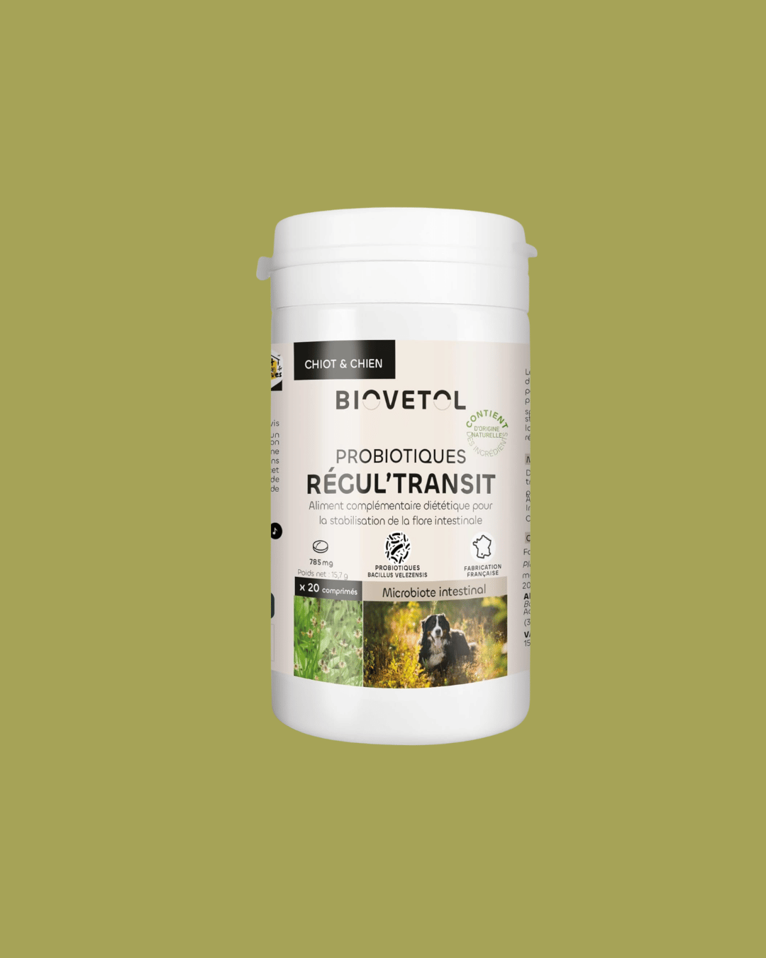 Probiotiques Regul Transit Biovetol